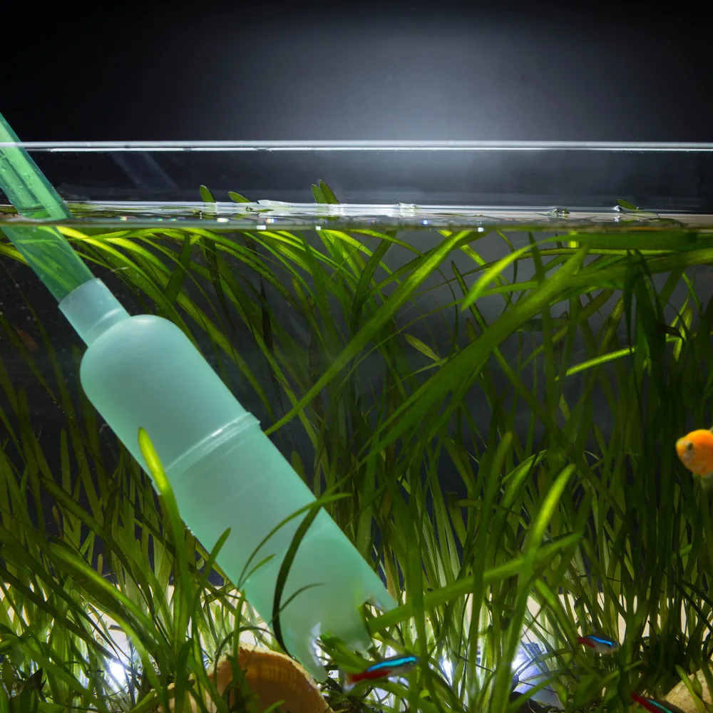 FITT Aquarium - görsel 3